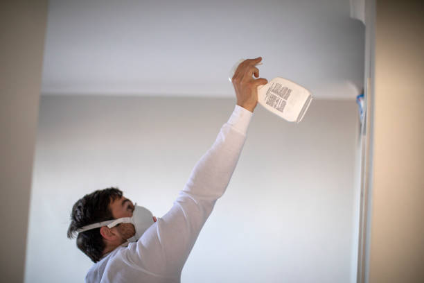 Reliable Woodville, CA Mold Removal Solutions
