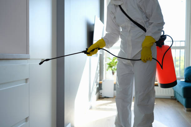 Best Mold Testing  in Woodville, CA