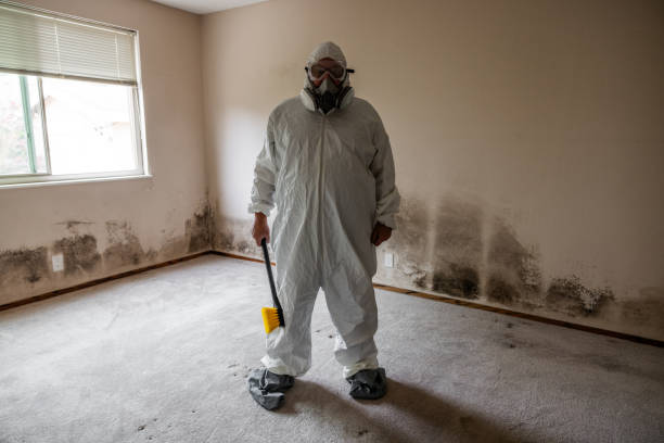 Certified Mold Removal in Woodville, CA